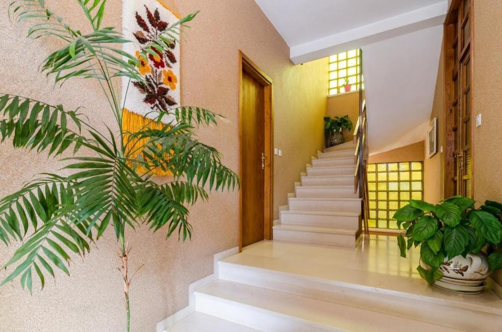 Apartments Villa Ivka دوبروفينك المظهر الخارجي الصورة
